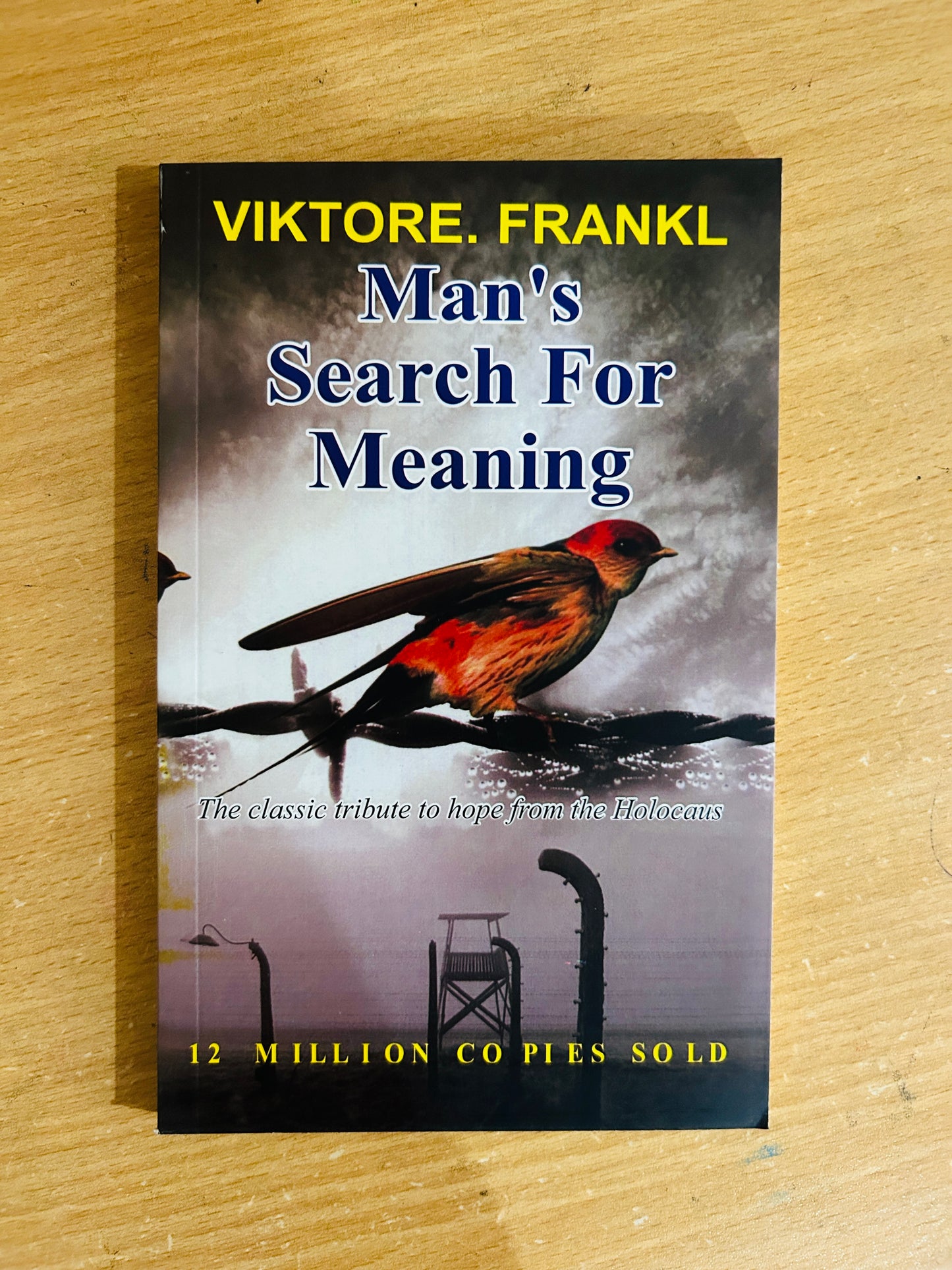 Man's Search for Meaning