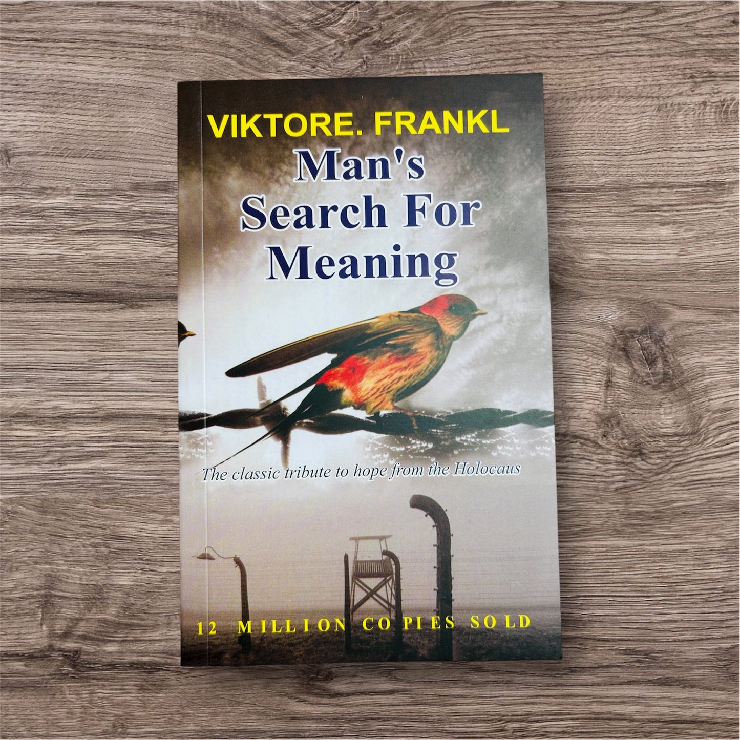Man's Search for Meaning