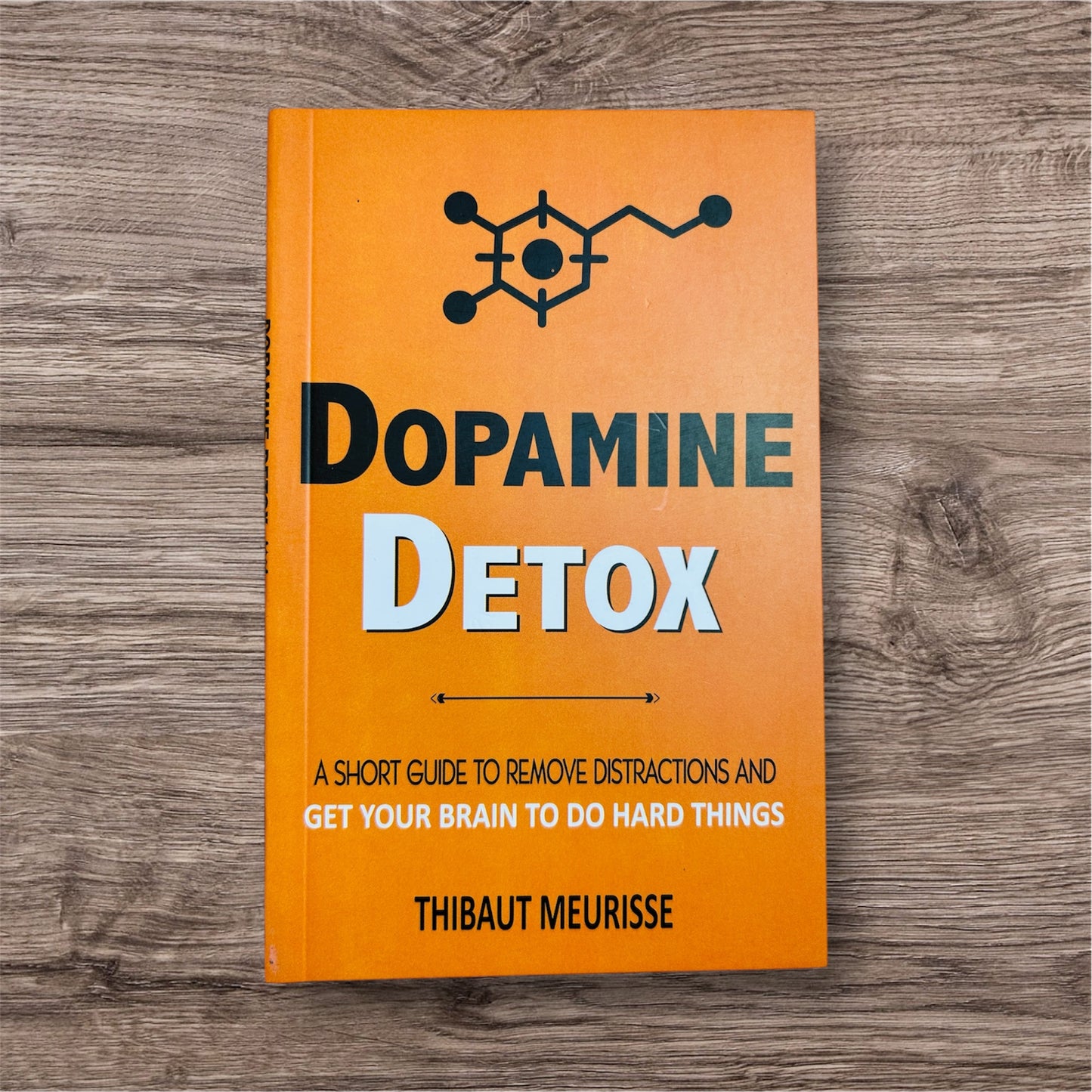 Dopamine Detox